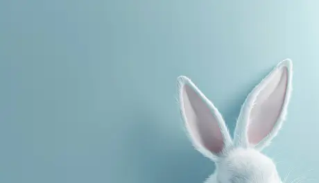 adobestock-700736056-groesser