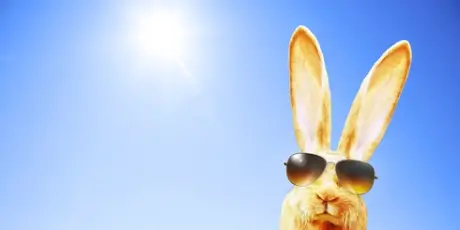 fotolia-142011887-xsoriginal