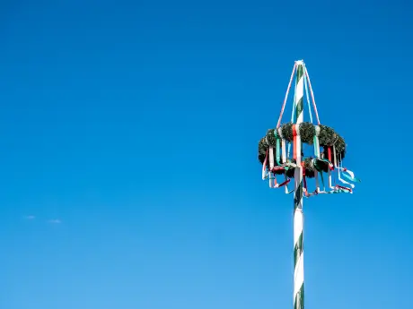 adobestock-211542303